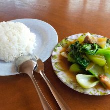 nob99さんの写真