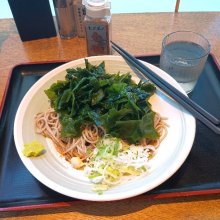 necoscardさんの写真