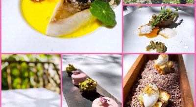 仏蘭西料理 La Terrasse 奈良 生駒 近鉄奈良 フランス料理