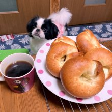 harukomamaさんの写真