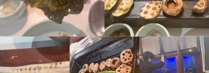 영동장어