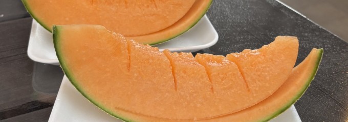 とみたメロンハウス