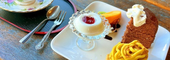 ログカフェまいも