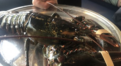 レッドロブスター 新松戸店 幸谷駅 洋食