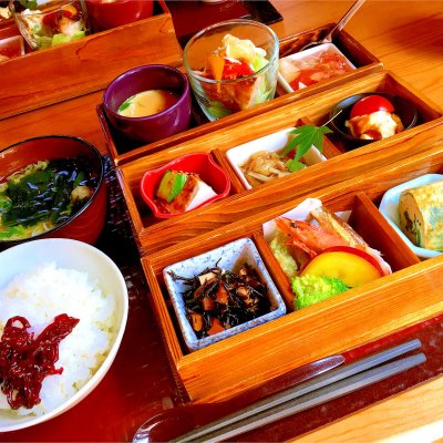 創作料理 野の花 和食 その他