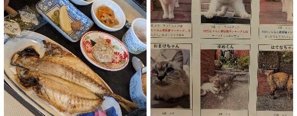 月影の丘ホテル ヴィラ勝山アヴェール