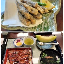 milkito_tartさんの写真