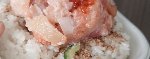 日本橋海鮮丼 つじ半 神楽坂店