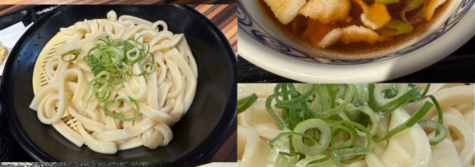 うどんの福なり
