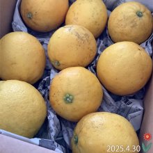 yukoyuzuさんの写真