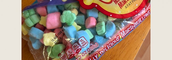 Walmart Discount Stores