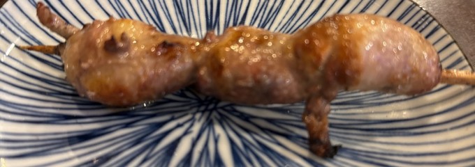 やきとり 鳥つき