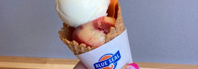 ブルーシール岐阜茜部店