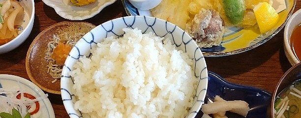 おさかなとごはん　福