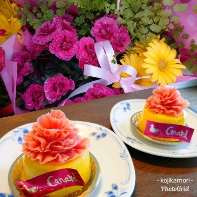 カナール ボーノ 相模大野店 相模大野駅 ケーキ ドーナツ カナール ボーノ 相模大野店 相模大野駅 ケーキ ドーナツ