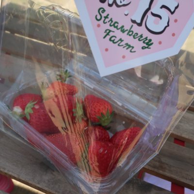 いちご狩り いちご園 Strawberry Farm No 15 The Farm Universal 彩都西駅 果物