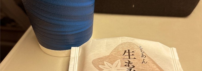 東海道新幹線車中