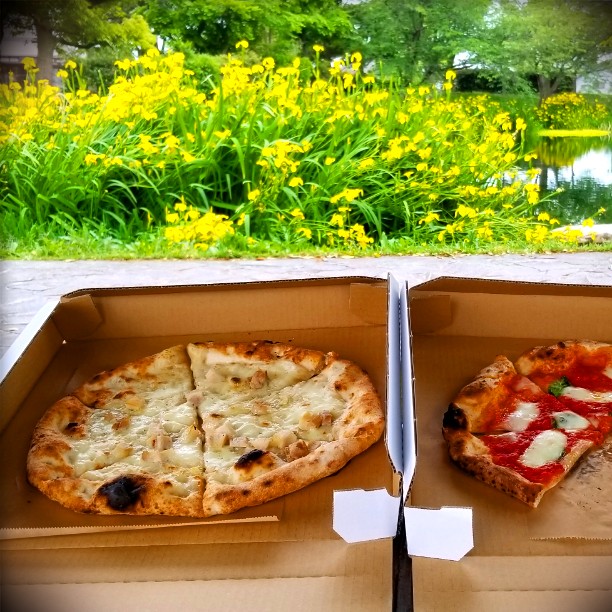 pizzeria39(愛媛県その他/イタリアン・フレンチ