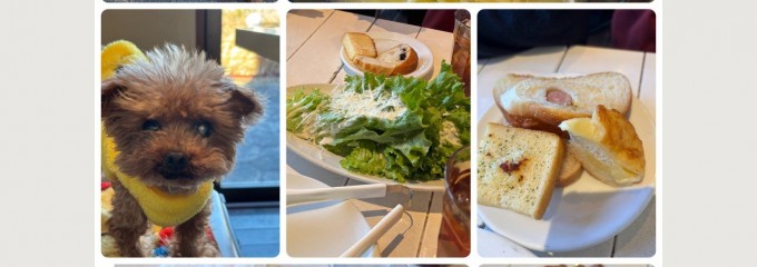 マカロニ市場 松戸店