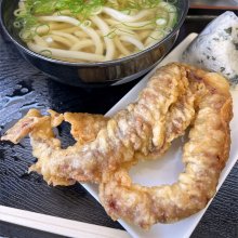 koupapaさんの写真