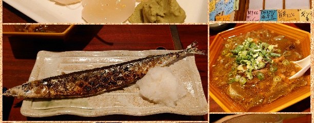 だるま茶屋