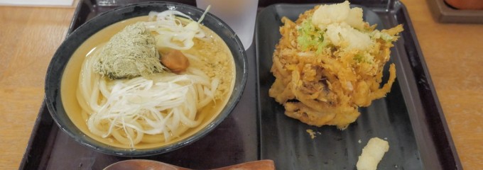 手打ちうどん いわしや