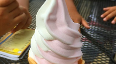 かのやばら園 アイスクリーム