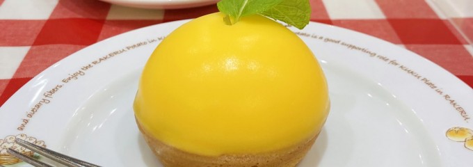 ラケル テラスモール湘南店