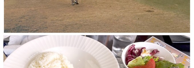 大津カントリークラブ西コース