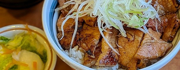 十勝豚丼 いっぴん 札幌北十条店