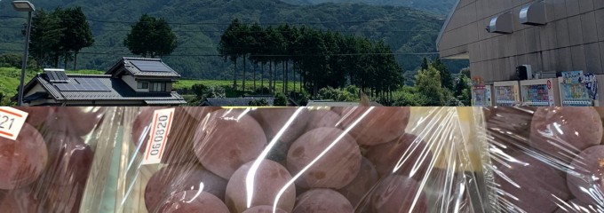 道の駅 田切の里