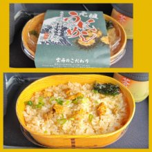 cokolaさんの写真
