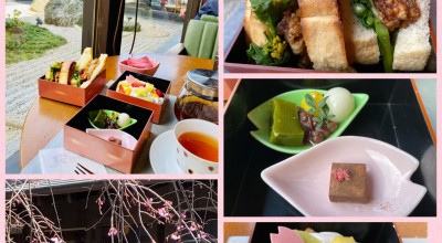 桜珈琲 岸和田店 岸和田 河内 大阪南部 春木 カフェ