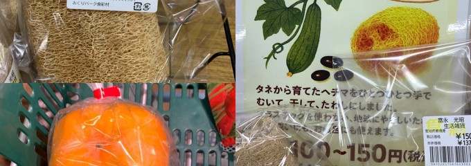 道の駅 とよはし