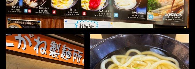 こがね製麺所 善通寺本店