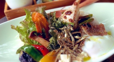 創作料理 野の花 和食 その他