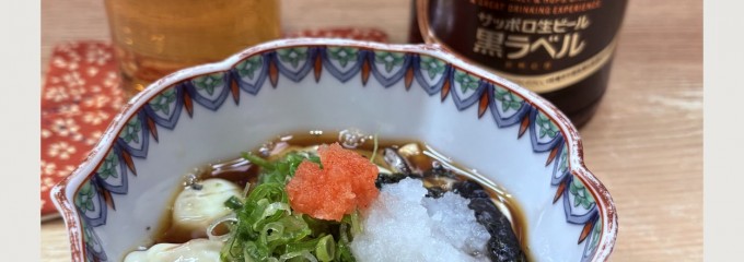 赤猫