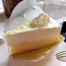 msy0730さんの写真