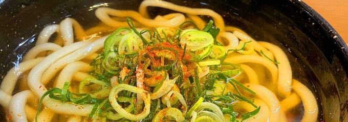 玄海うどん