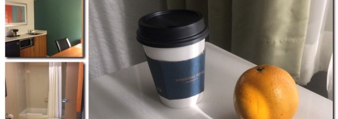 Springhill Suites Orlando Lake Buena Vista