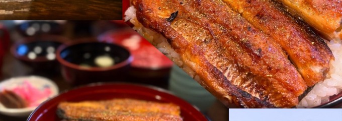 魚伊 本店