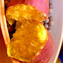 OZkaGasさんの写真