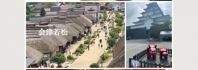 田季野