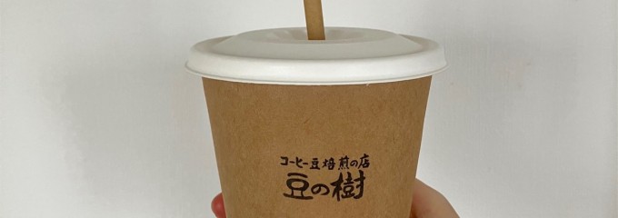 豆の樹