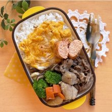 ROTTA66さんの写真