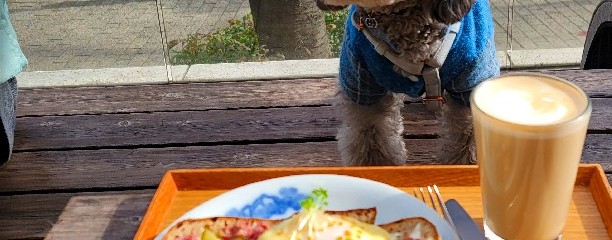 bricolage bread & co.