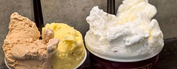 Curry Spice Gelateria KALPASI
