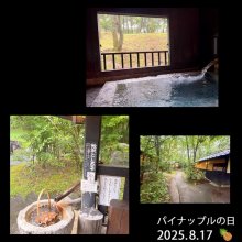 Lime1228さんの写真