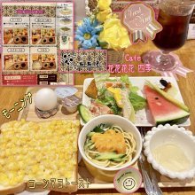 花花花花(しき)の写真