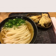 Roy_Mustangさんの写真
